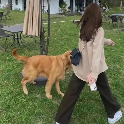 铁马寻桥粤语